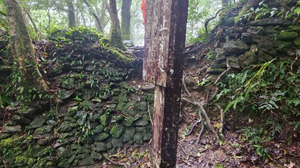 20250413浸水營古道2760329