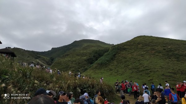 草嶺古道芒草季1272858