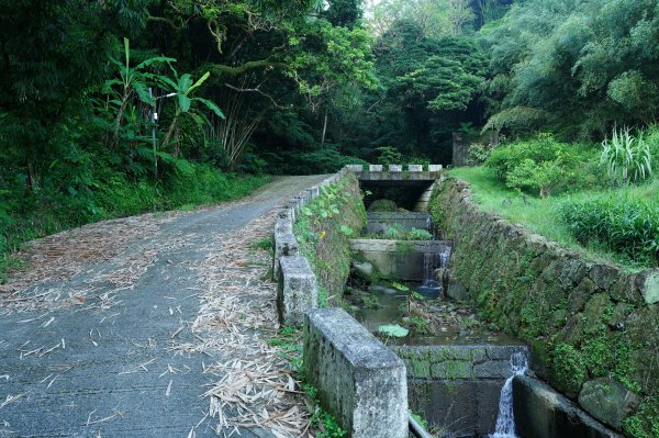 新北 三峽 金敏子山、詩朗山、塞口坑山、內金敏山2565597