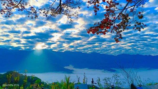 二訪馬拉邦山，解鎖 #琉璃光雲海 #日出雲海  #血月 #斜射光 #楓葉紅了！2668627