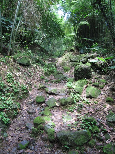 木柵猴山坑古道1957698