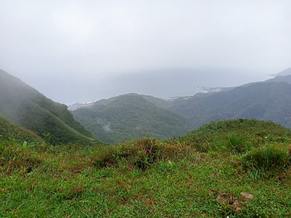 【小百岳集起來】內寮蕭家莊→桃源谷內寮線→草嶺線→福德山→#082灣坑頭山1523507