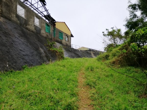 輕鬆好走但我們遇上微雨強風~小百岳鐵砧山918647
