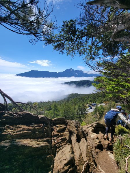 2026-0517-合歡北峰初探3066514
