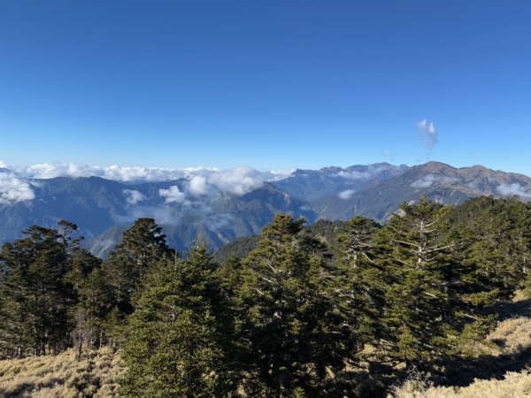 20250104-05 向陽縱走魔保來溪頭山出關山嶺山2683521