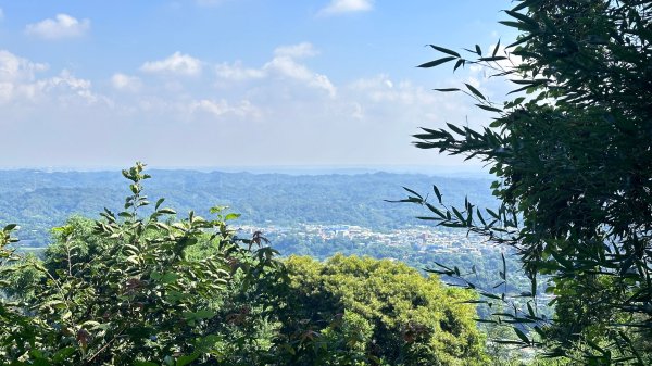 大分林山步道輕鬆走2558722