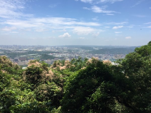 鳶山四秀縱走+七彩岩壁594862