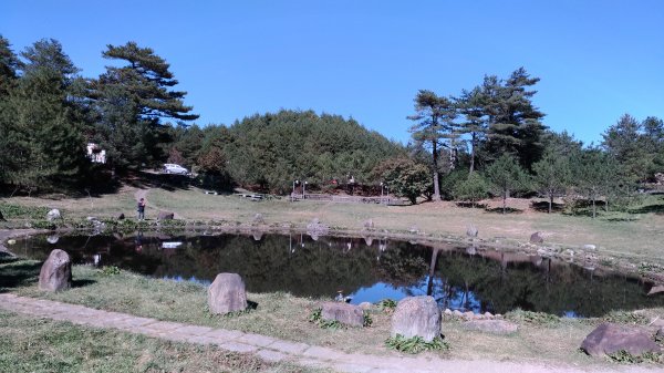 福壽山農場+天池+露營區478903