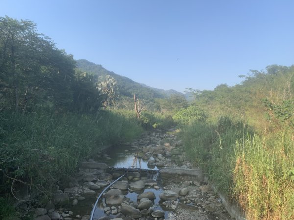 20251122高雄笠山-坦水衍山2945351