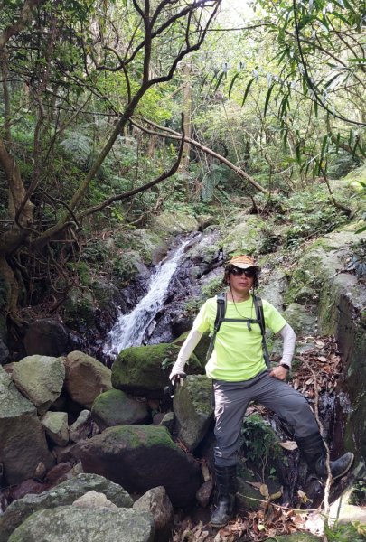 楓樹湖古道登面天北稜上面天山2782209