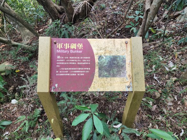 新竹湖口｜萬年道、仁和步道、金獅古道、漢卿步道2912208