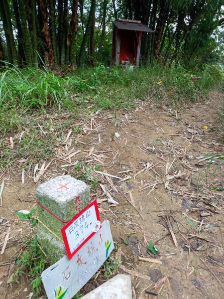 龜山到樹林散步一日遊2636214