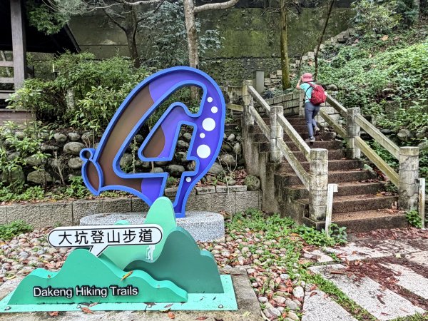 大坑4號步道-新吊橋嘗鮮 202606073074290