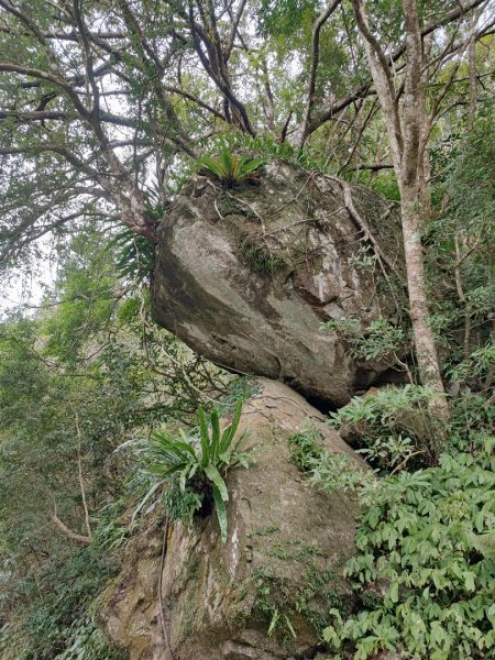 外鳥嘴山-新竹縣關西鎮2413368