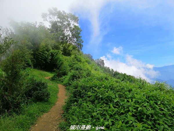 【雲嘉】超美的茶園竹林風光。小百岳集起來。#56小百岳雲嘉大尖山x二尖山x馬鞍山x#57小百岳梨子腳1453650