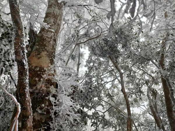 雪季北得拉曼2956392