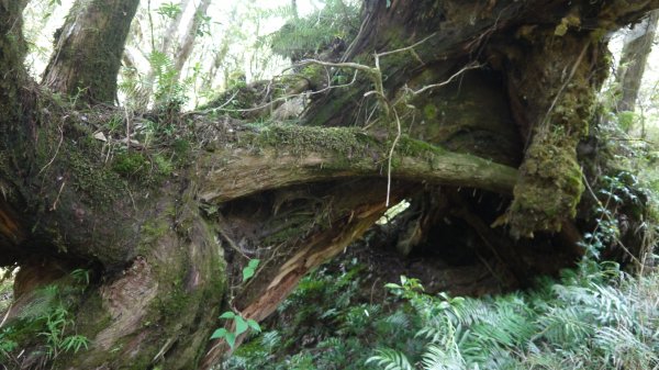 三星池登山健行趣1789855