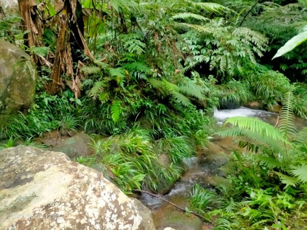 白石湖+打鐵寮古道2824178