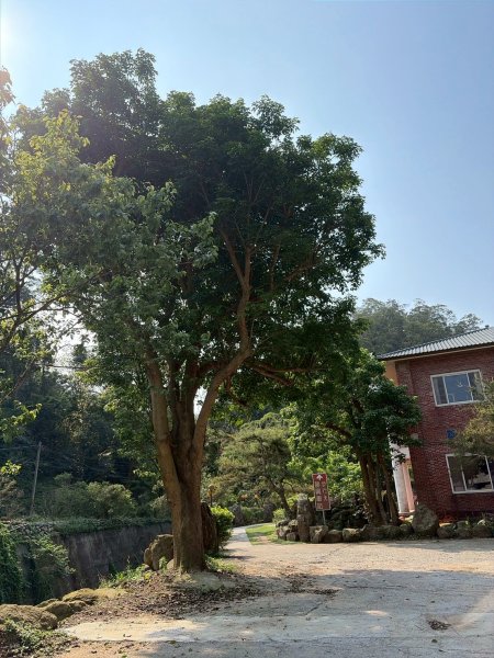 苗栗 三義 關刀山西北峰 關刀山3033659