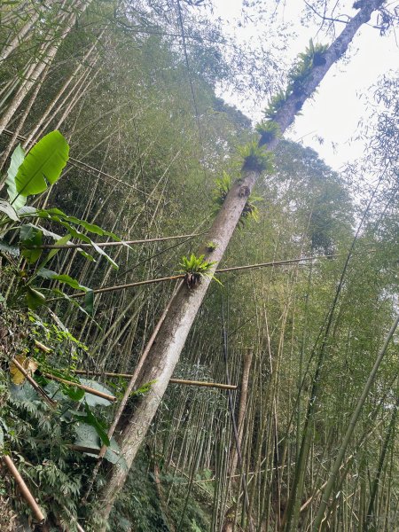 1120329奮瑞古道2643552