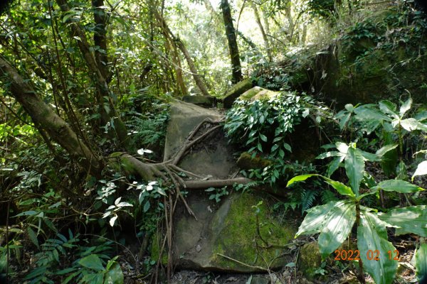 臺中 太平 暗影山1608980