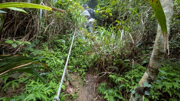 114.06.08門牙岩之O型2806628