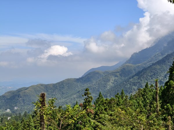 [百山百鳥尋旅-05/15] 2025_0830 溪頭賞鳥步道_銀杏步道2875497