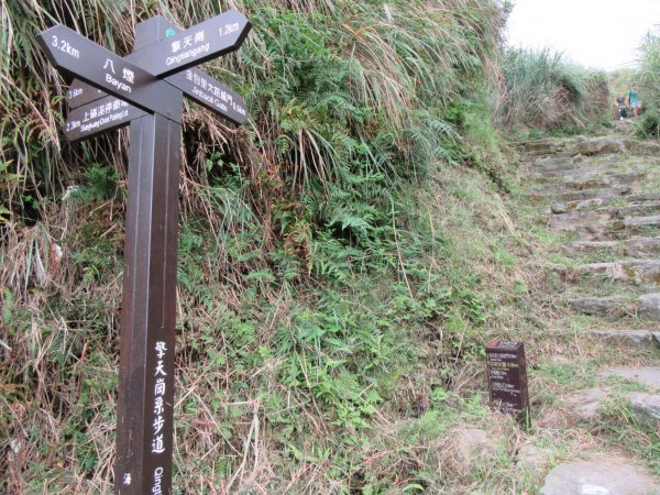 20201002-魚路古道北段1116778