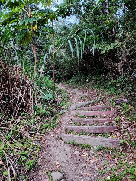 小百岳集起來-都蘭山2184282