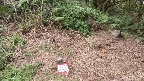 石門區北海道場-九芎林西北峰-九芎林山-土地公嶺古道O型3119063