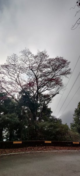 中級山-鳶嘴稍來2889074