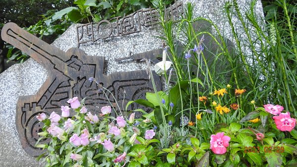 追花是簡單的快樂，賞花是恬淡的幸福。2/282045049