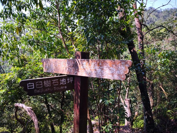 108.03.02 內湖剪刀石551506