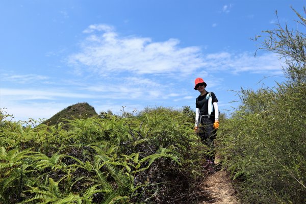 HK - 大石磨950007