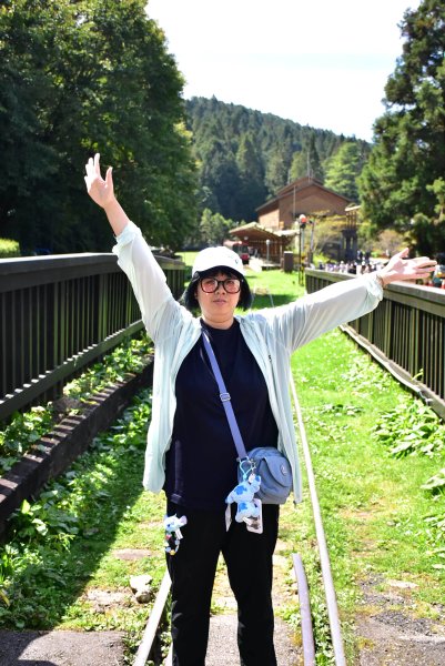 20251011追公車搭公車阿里山漫遊2910910