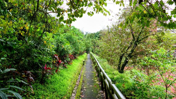 白雲派出所。蒙格不驚2759912