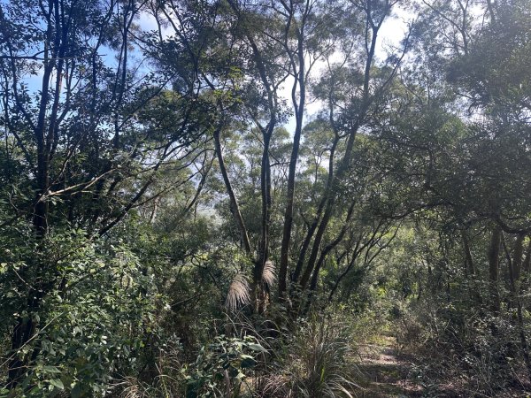 苗栗客家大院2712953