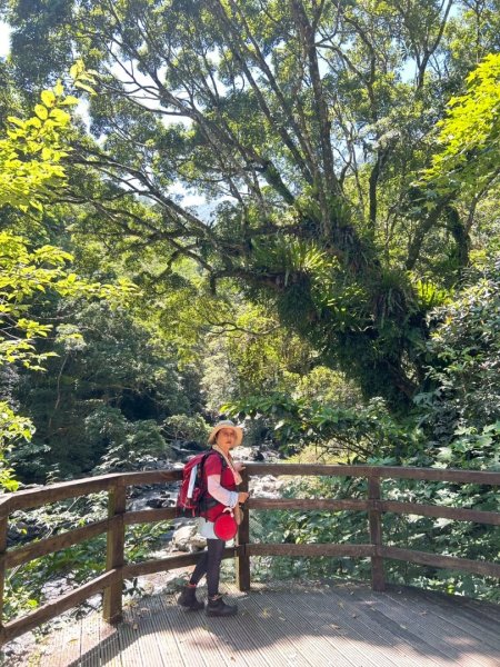 滿月圓森林遊樂區觀觀瀑3078358