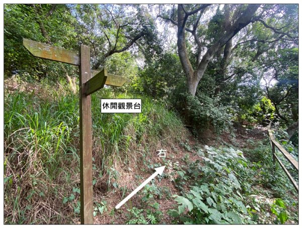 土地公坑山 新路線 (彰化、花壇)3070356
