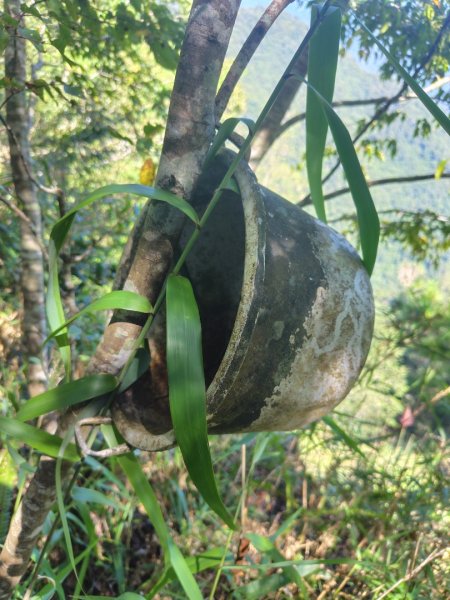 南東眼山連走有勝山2918748