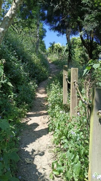 20251004 馬那邦山 - 珠湖 登山口2904895