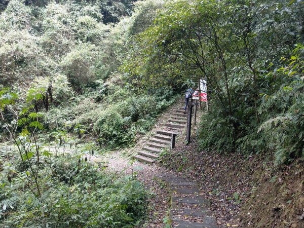 石壁山(小百岳#55)及嘉南雲峰。穿越武俠電影場景之孟宗竹林區1363355