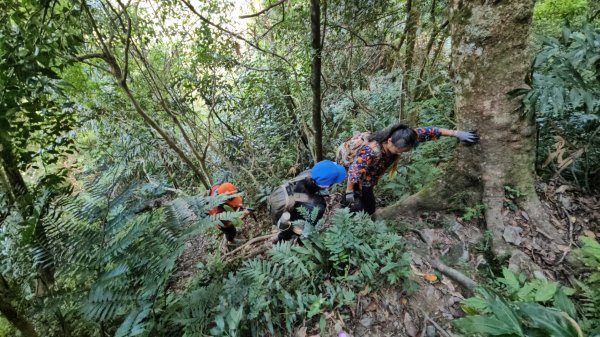 烏桶縱走(烏來山→大桶山)忠治出全紀錄2915216