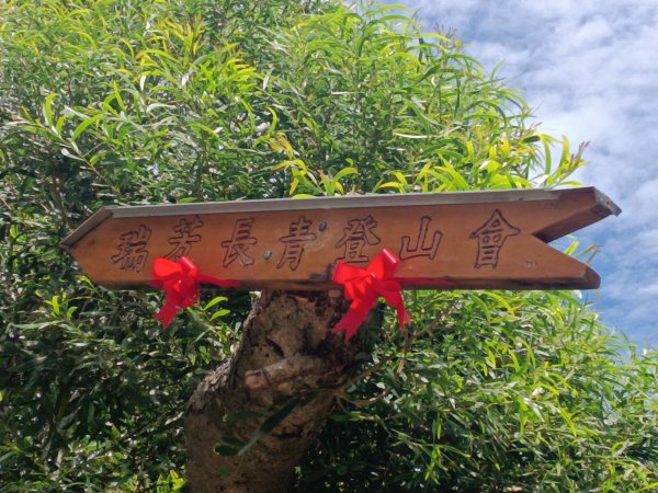 瑞芳區長青早起會觀景+碧峰岩步道2853999