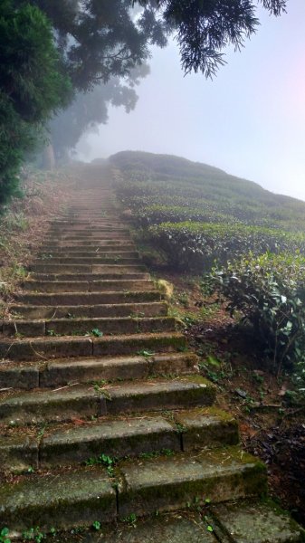 【梨子腳山】2019/11/02720221
