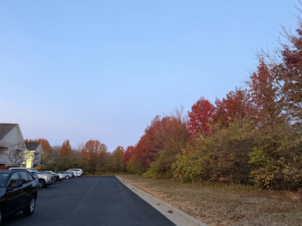 [紐約馬之行-52] 2025_1112 聖路易斯大學2953275