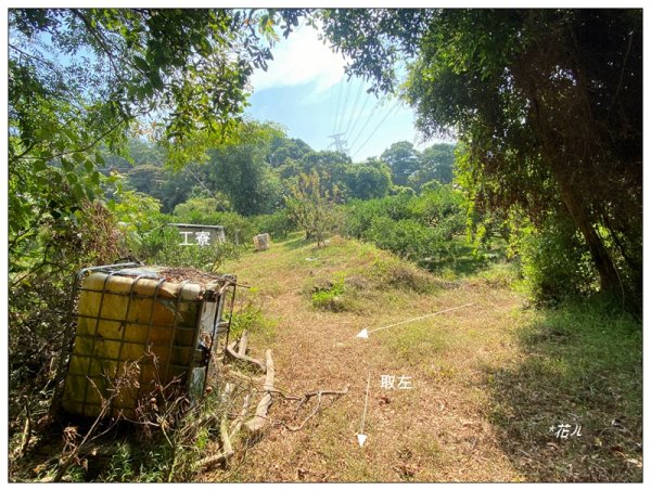 三角山雙潭登山口、天后宮步道O遶 D上B下3135652