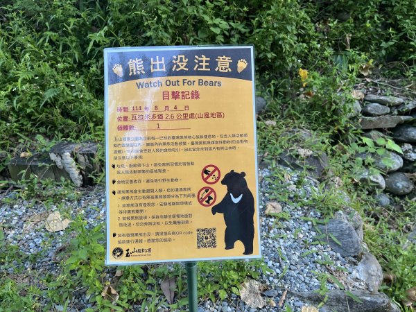 [玉山尋寶任務-03/12] 2025_0810 瓦拉米步道2857339