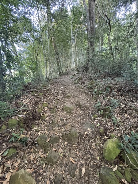 20251221嘉南雲峰、石壁山登山步道2968086