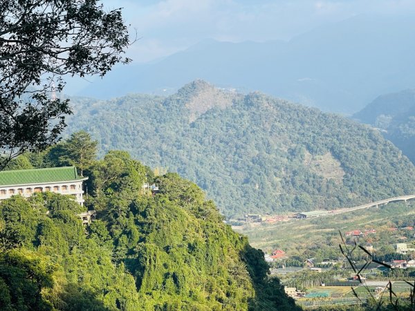 1141207金童山2957729